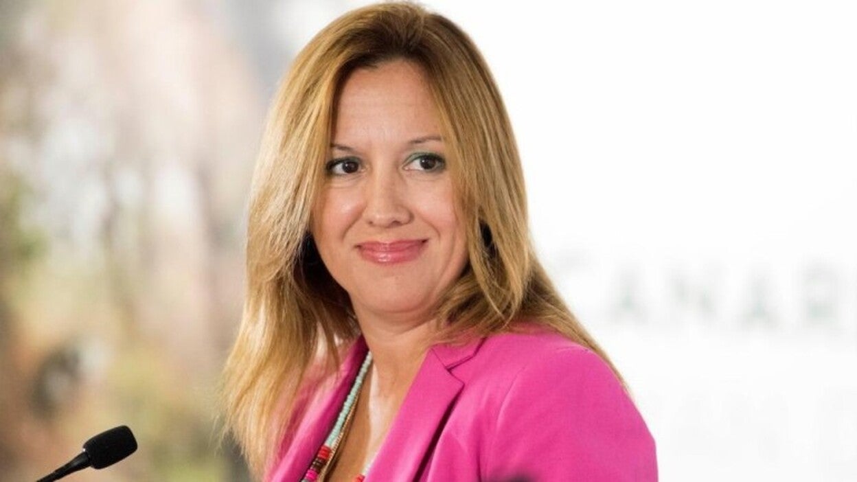 Dávila celebra que los expertos reconozcan "las singularidades canarias"