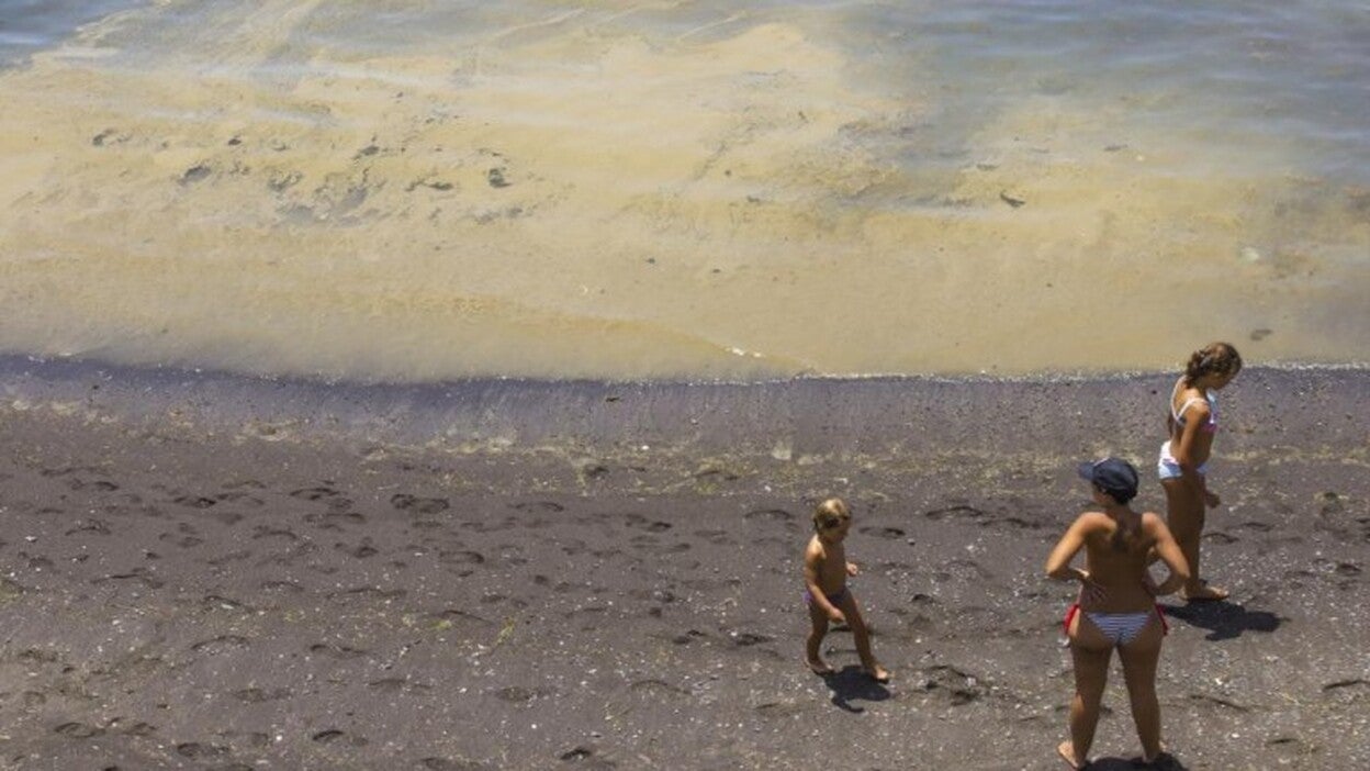 Pueden llegar a todas las islas orientales y matar peces