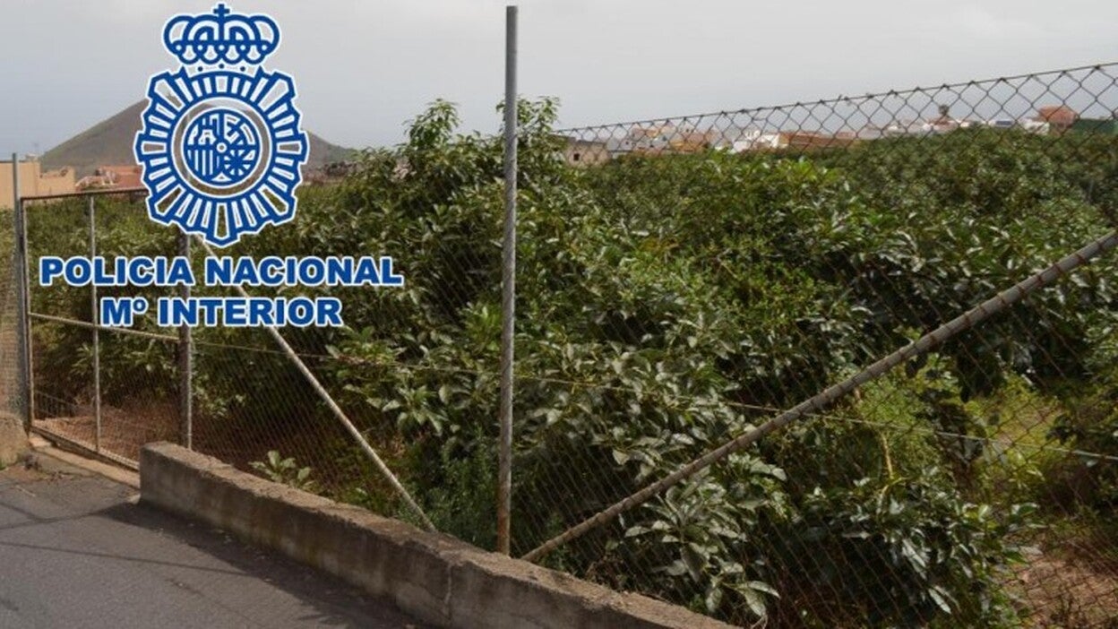 Matan a un perro que los sorprendió robando