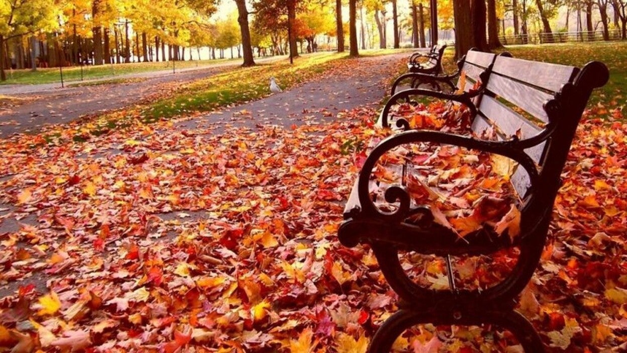 El próximo otoño será más cálido en toda España