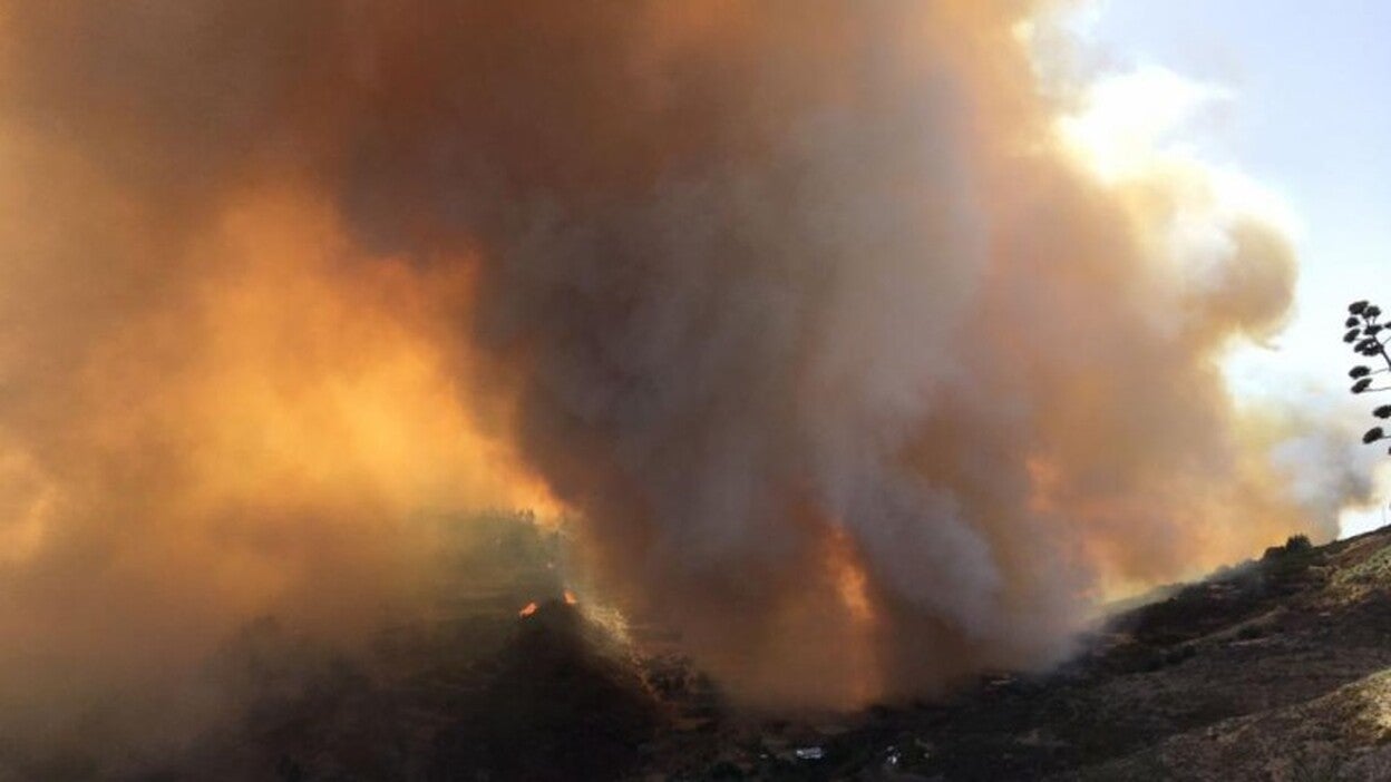 Todos los efectivos disponibles en Canarias para apagar el fuego