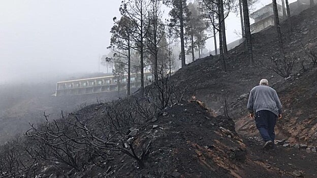 El fuego de la cumbre, «en fase de liquidación»