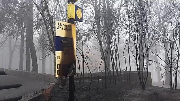 Carin murió por salvar a sus animales