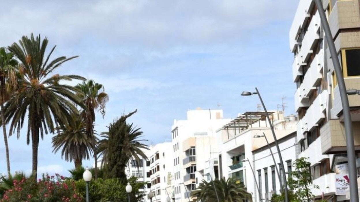 La consulta sobre la avenida se baraja para febrero de 2018