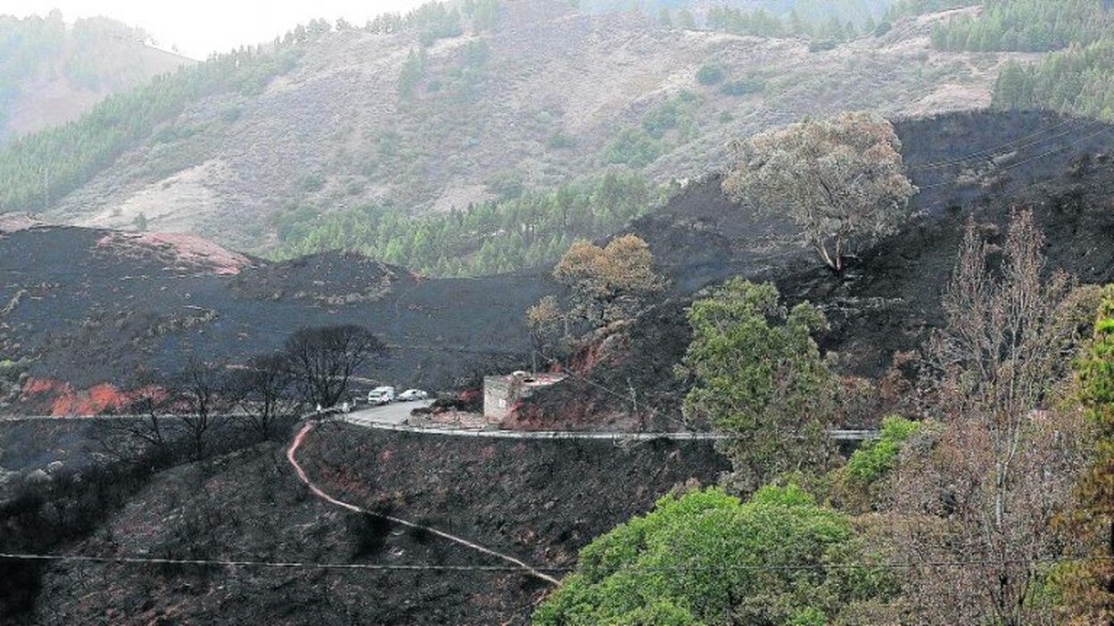 «Todavía queda el mal cuerpo»