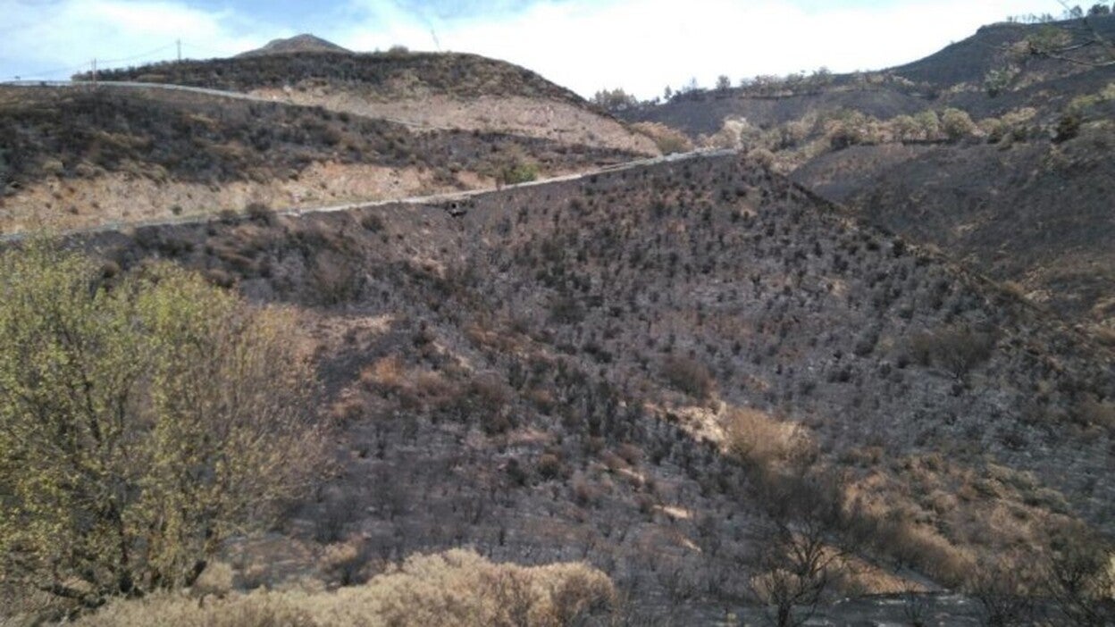 La investigación apunta que el incendio fue intencionado