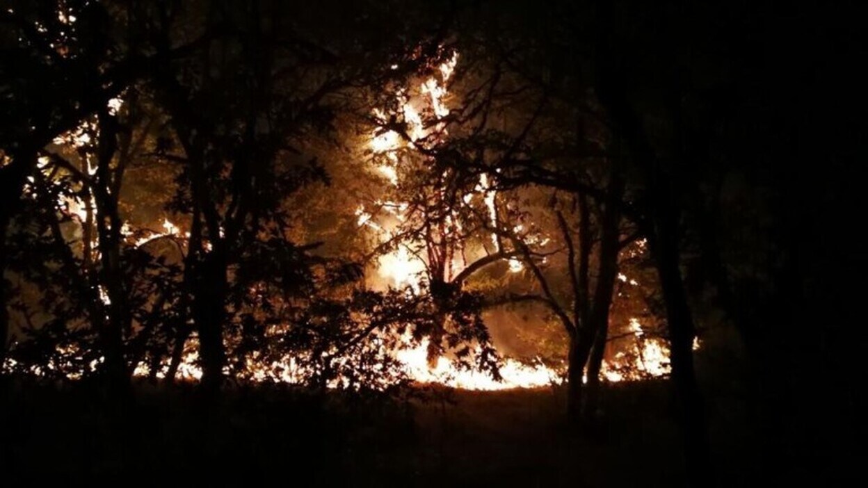 El fuego deja 44 víctimas en Portugal