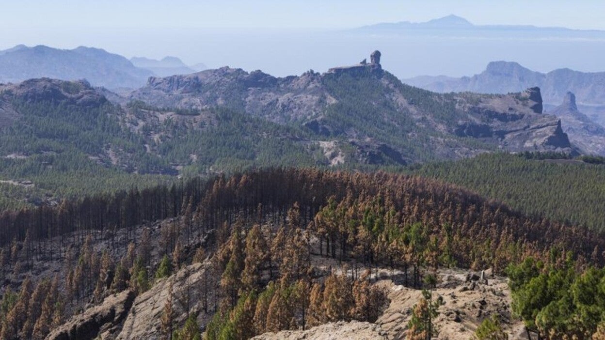 Gran Canaria comienza a recuperarse del fuego