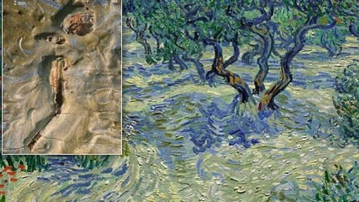 Descubren un saltamontes incrustado en una obra de Van Gogh