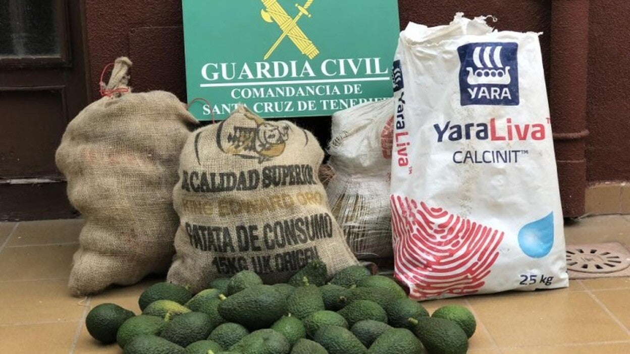 Sorprendido con un saco de aguacates que acaba de robar