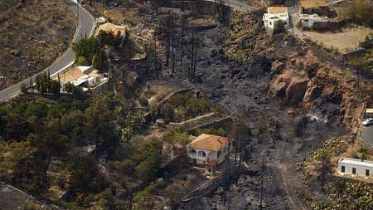 Un millar de personas plantarán 3.000 árboles en zona afectada por incendio