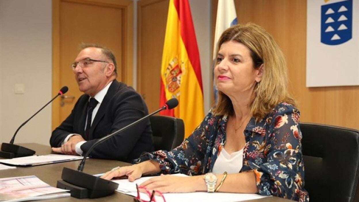 Sanidad publica una guía para médicos y enfermeros para prevenir el pie diabético