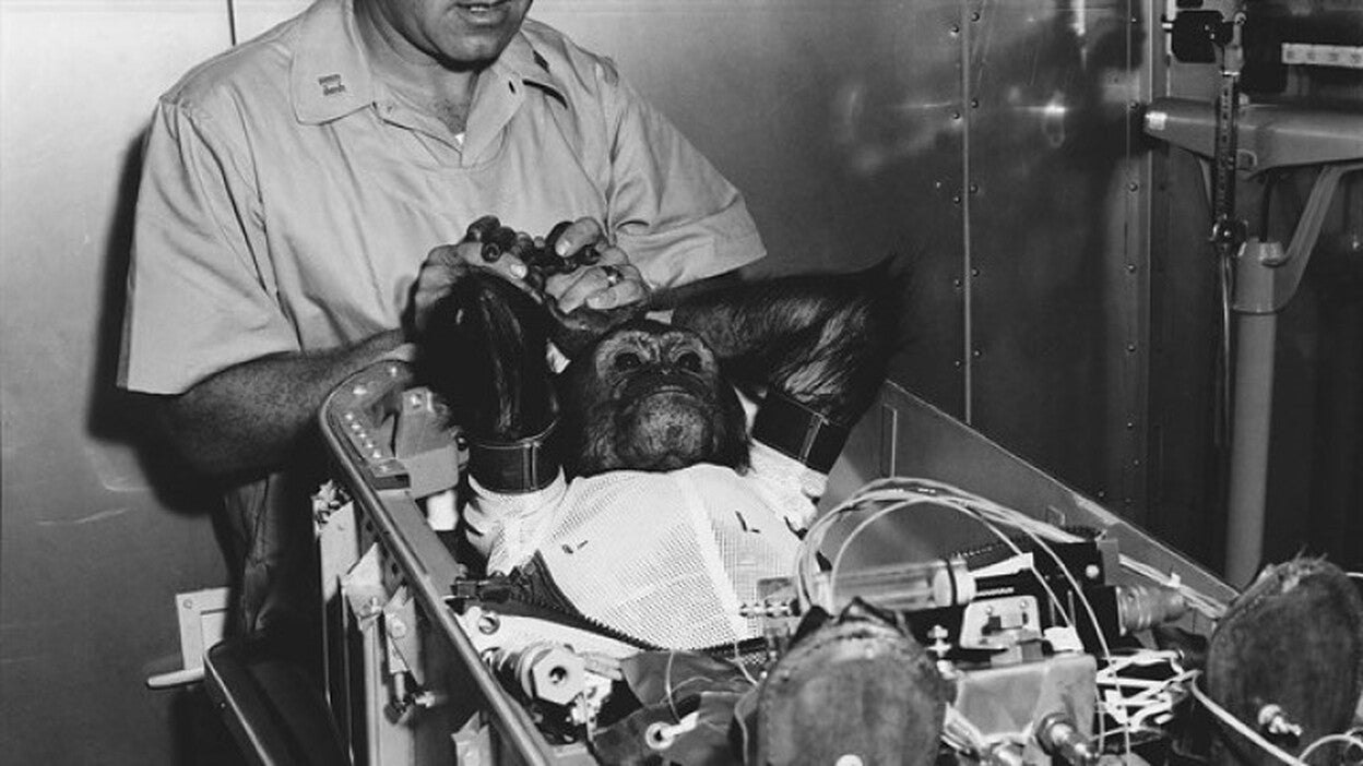 El viaje de Enos, el primer chimponauta orbital, cumple 56 años