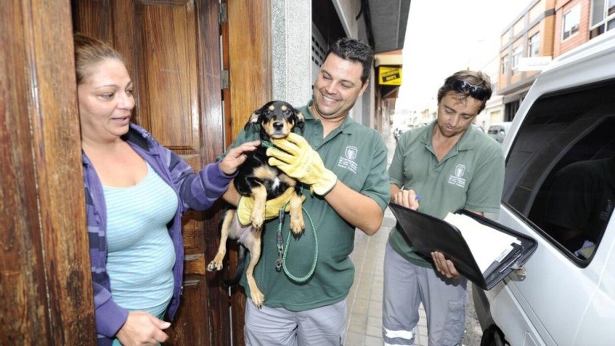 30.000 euros por abandonar una mascota