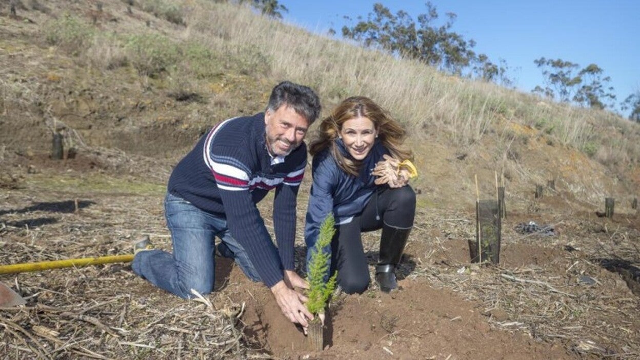 REE y el Cabildo plantan 8.000 árboles en la selva de Doramas