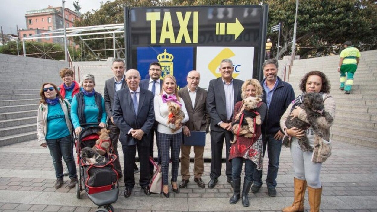 Viaja con tu mascota en Global