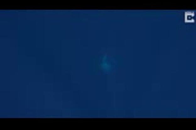 Una ballena protege a una bióloga marina de un tiburón