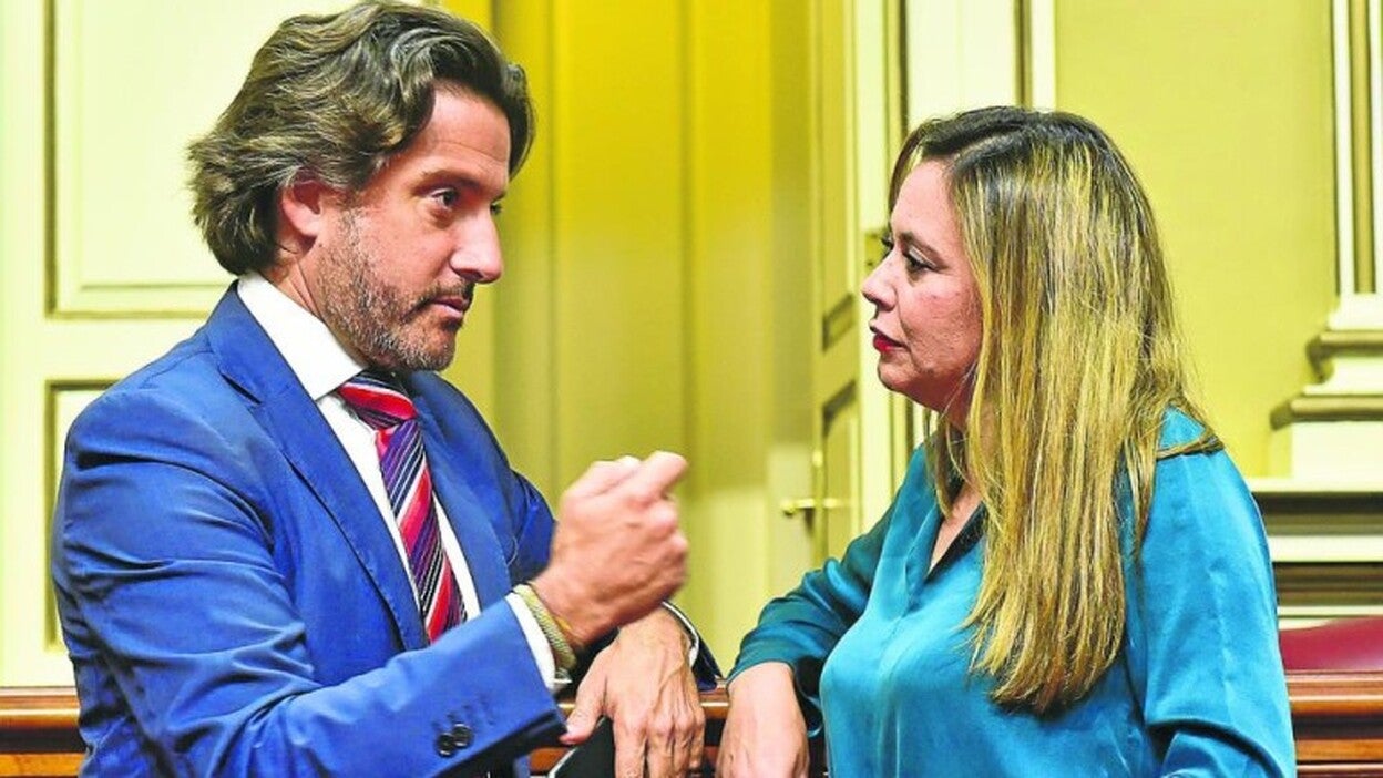 Diputados del PSOE, a la greña