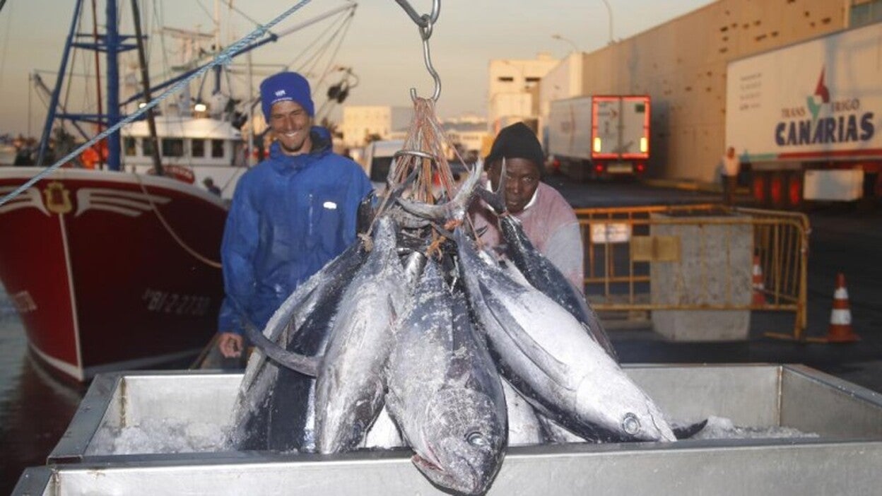 Los atuneros cerraron la zafra con 2.100 toneladas