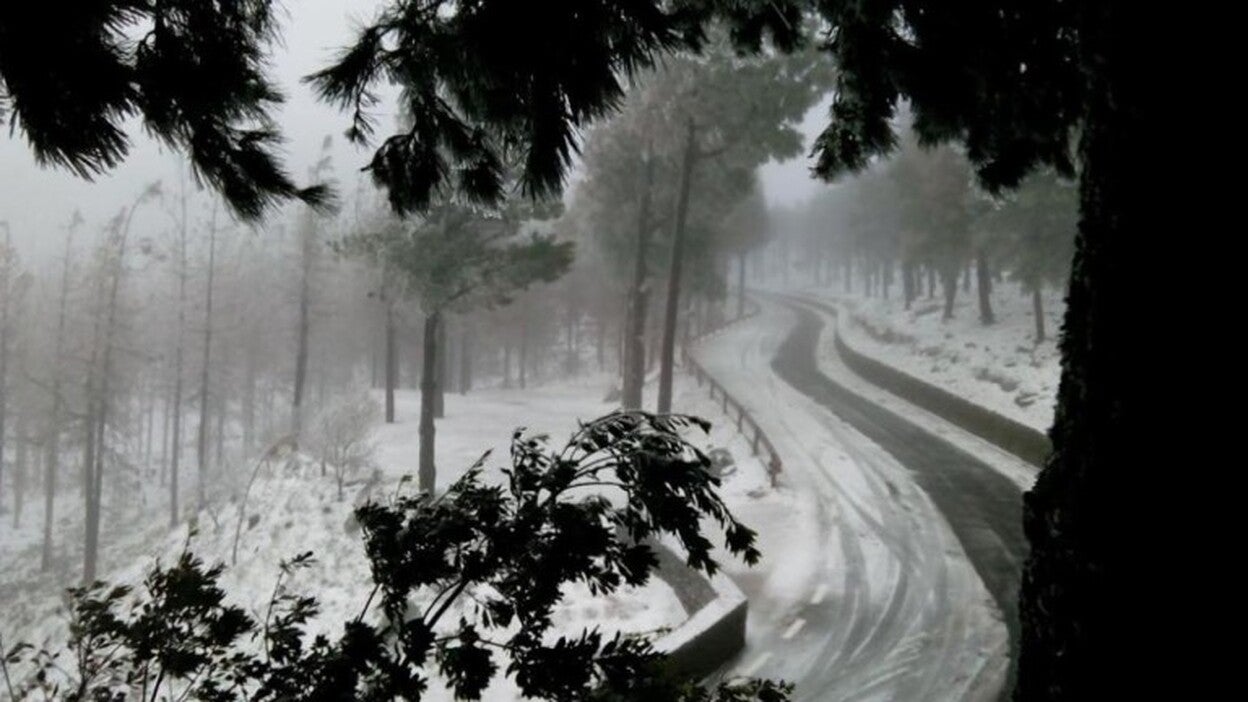 Copiosa nevada en la cumbre grancanaria