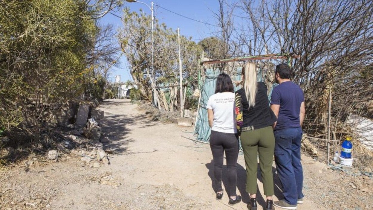 Rescatan a los dos últimos perros maltratados