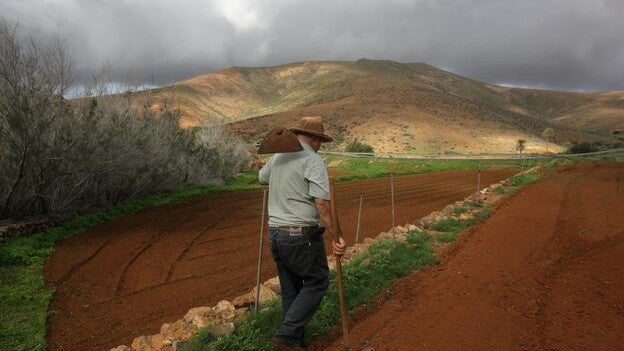 Los agricultores canarios reciben 80 millones del Feaga hasta el 31 de enero