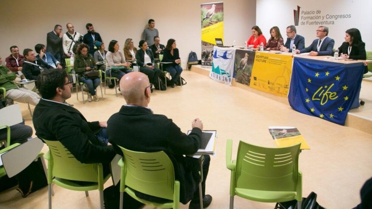 Aíslan 22 kilómetros de tendido eléctrico para proteger al guirre