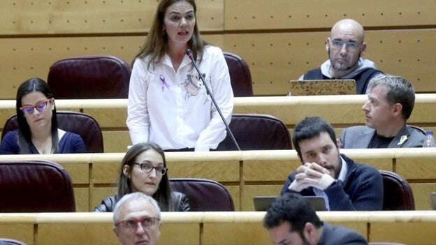 María José López,  senado ra de NC, preguntó a Rajoy por la huelga feminista. / Efe