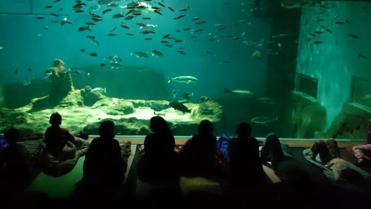 8.000 personas piden que el acuario de Sevilla se llame “Gabriel Cruz”