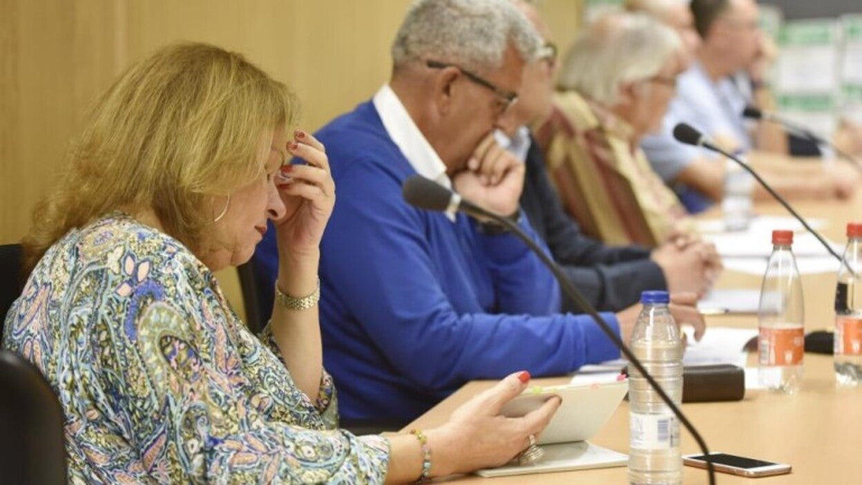 Las defensas censuran la instrucción