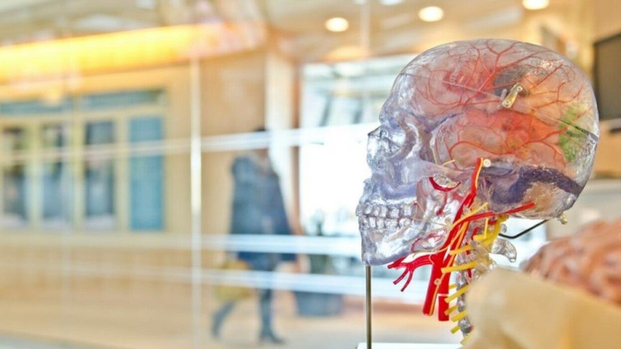 Sensores ópticos para el cerebro