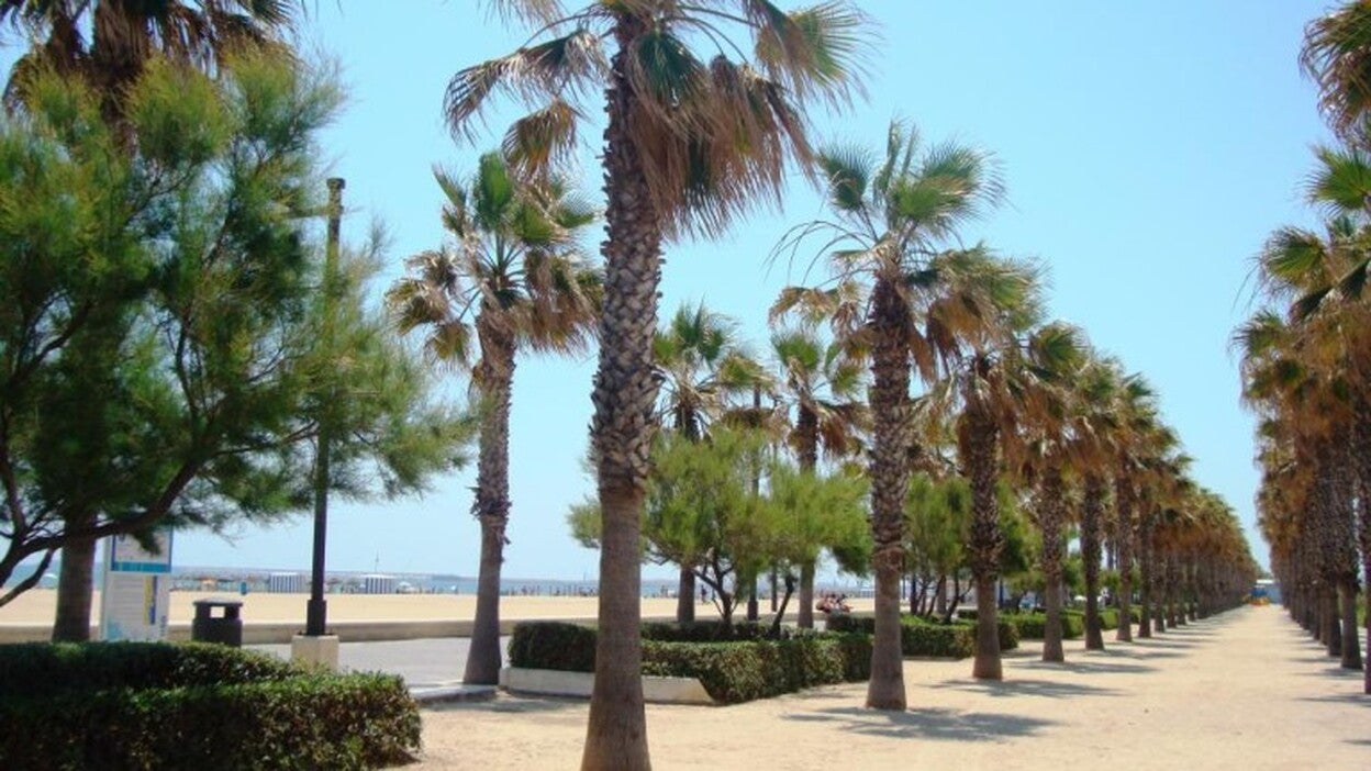 Intenta llevarse a un menor en silla de ruedas