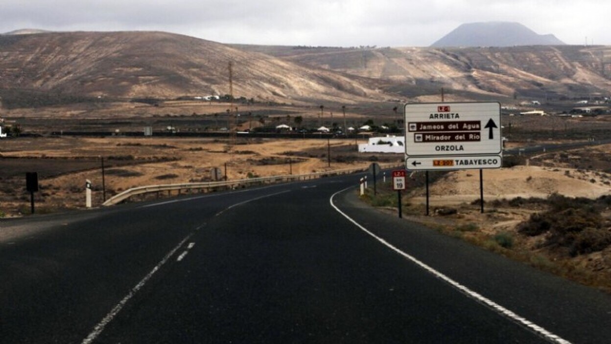 El tráfico mata hasta 7.100 aves al año en Lanzarote