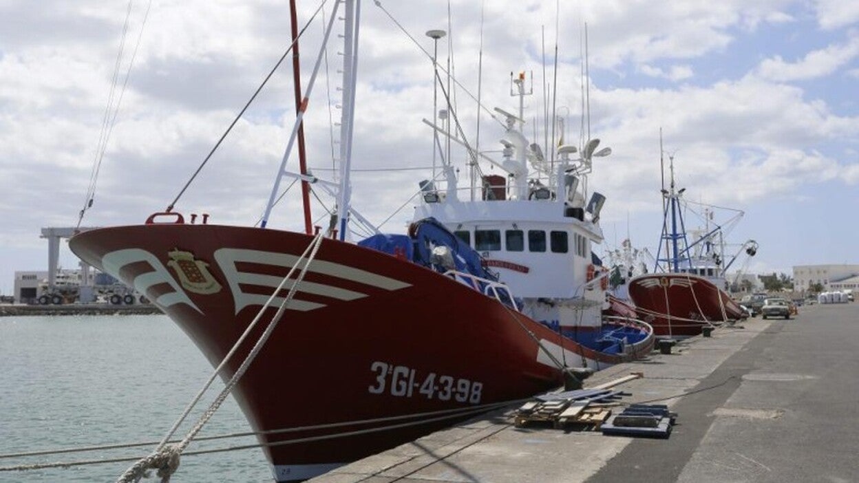 Las cofradías denuncian «la chapuza» del plan del atún rojo