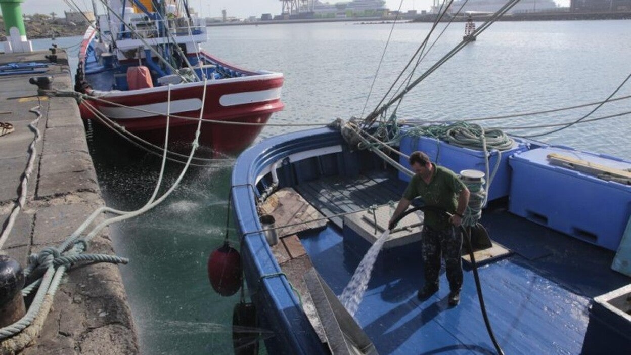 La flota insular llevará ante la justicia el reparto del atún rojo