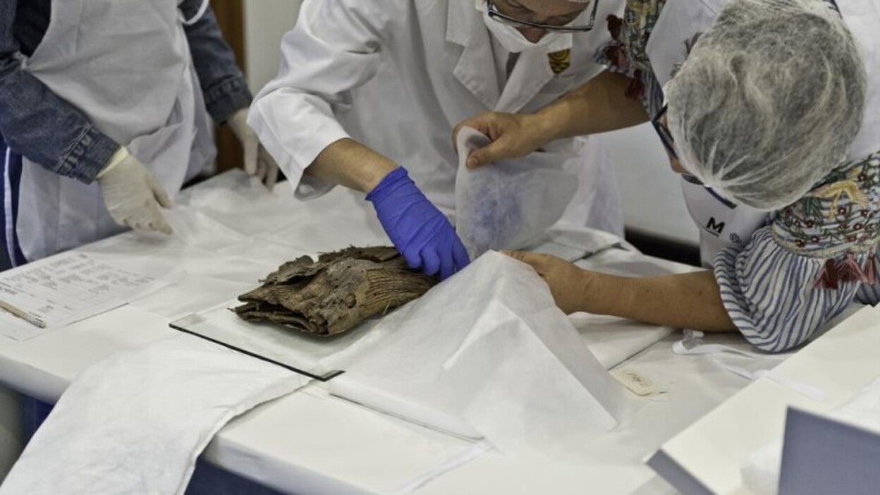 El Museo Canario y el de la Naturaleza