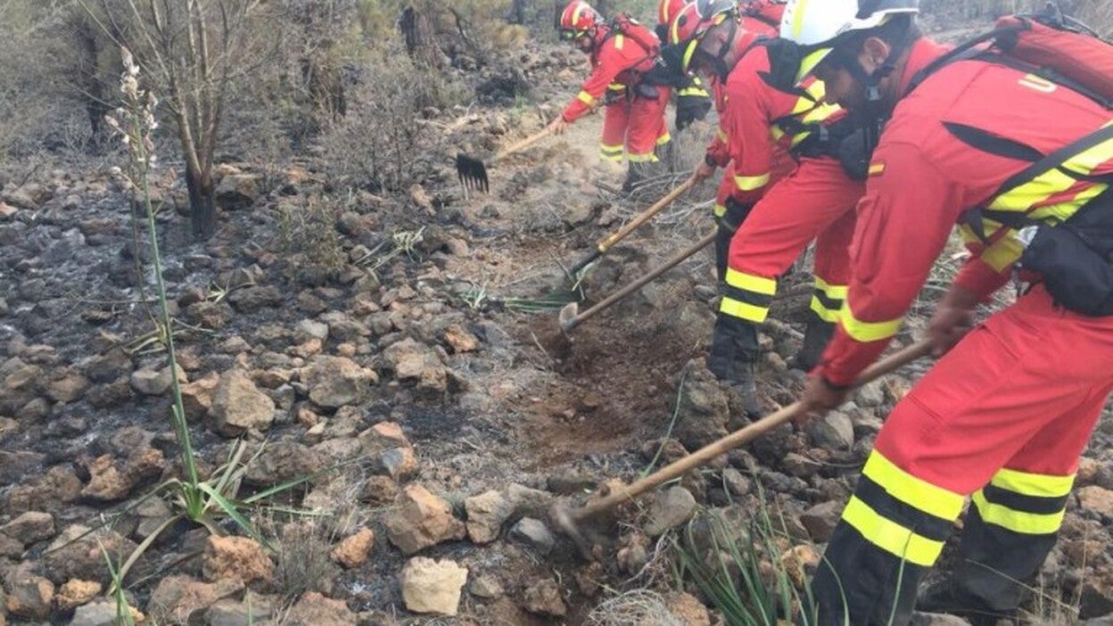 El Cabildo apunta a un origen intencionado del incendio