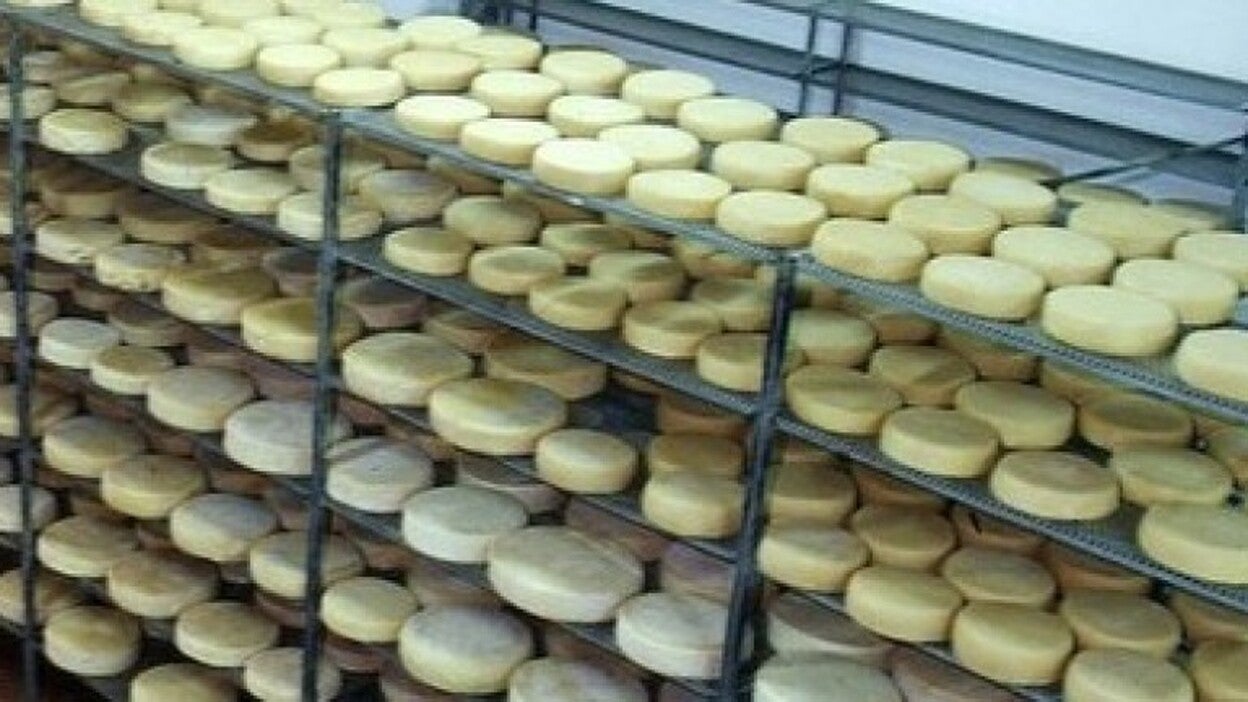 El Queso Bolaños Fontanales curado mezcla obtiene Medalla de Plata concurso