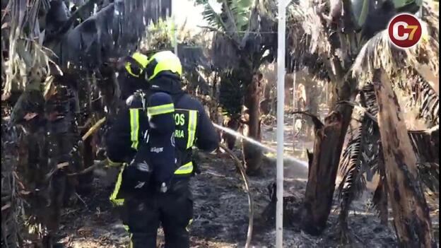 Un Aparatoso Incendio Calcina 500 Metros De Invernadero Canarias7 5900