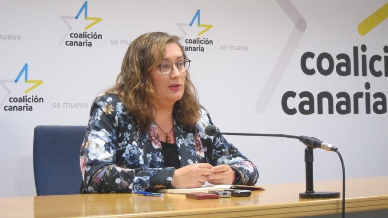 CC votará en contra de la moción de censura del PSOE