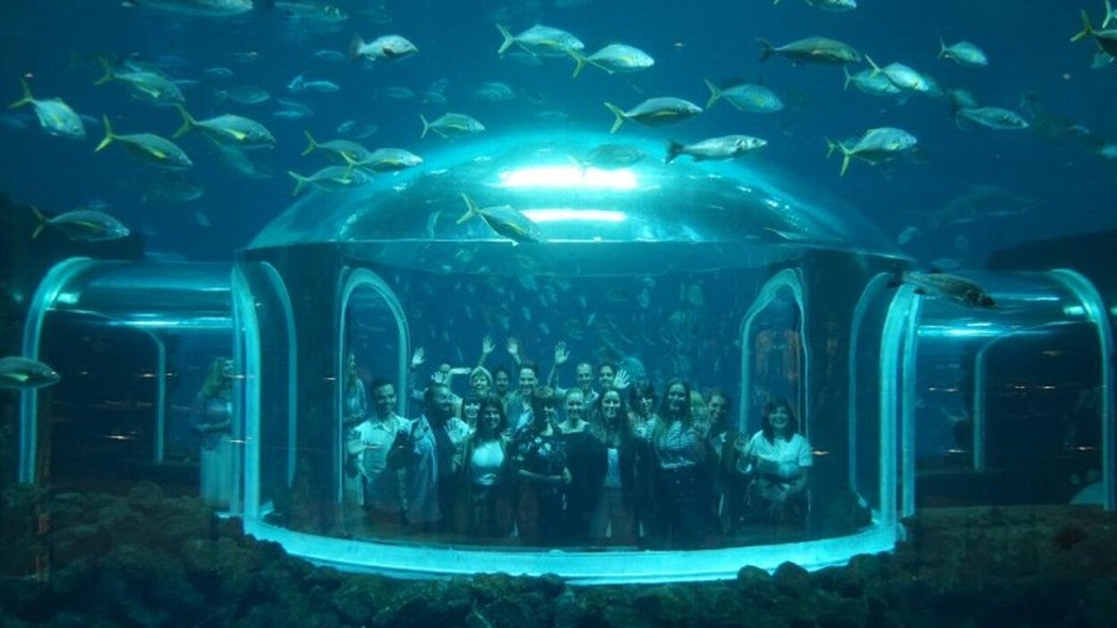 Apuesta firme por los jóvenes diseñadores