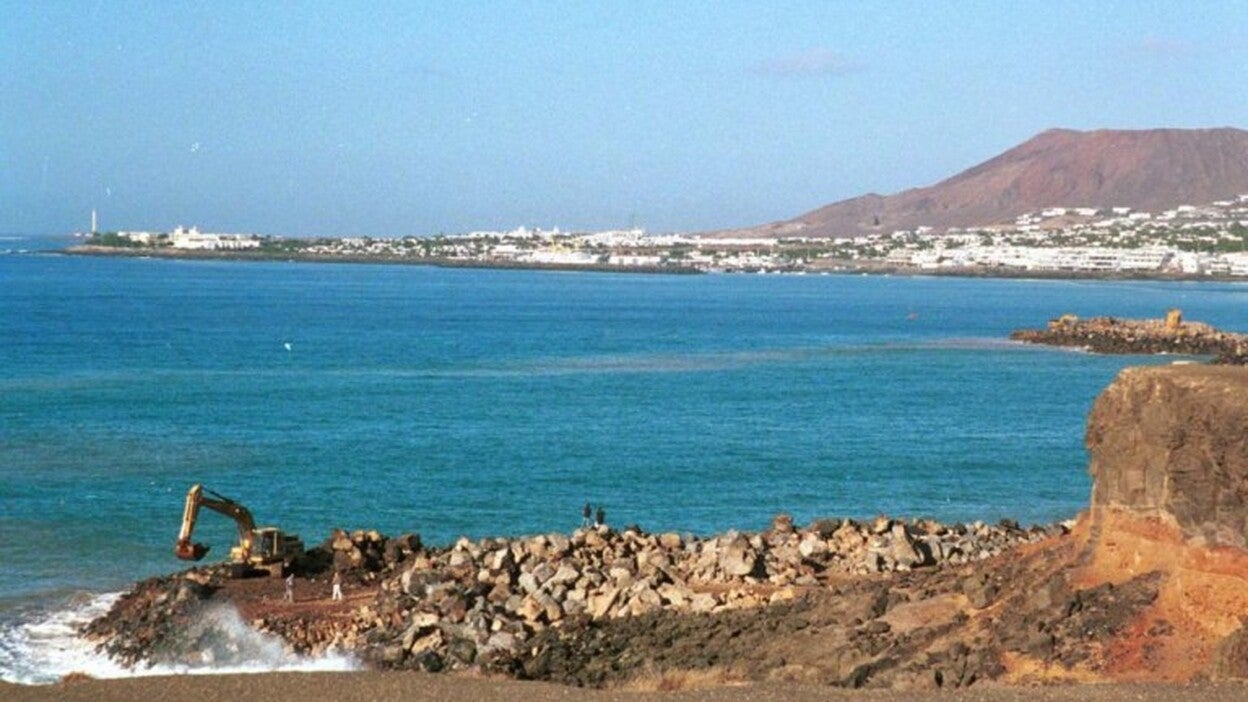 El Museo Atlántico «recuperará» el sebadal arrasado en la obra del puerto