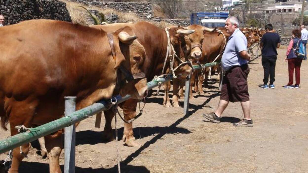 Del ‘toraco’ al boliche, al son del folclore