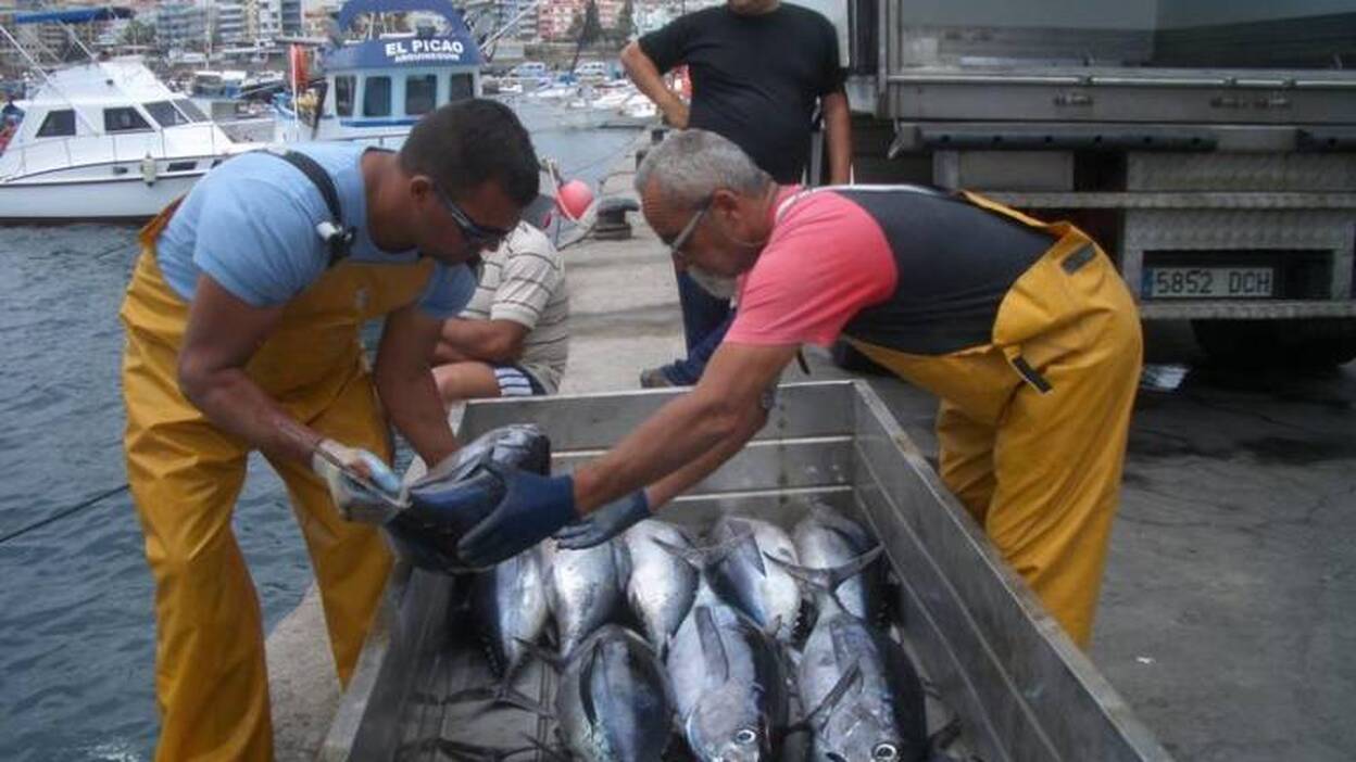 Los atuneros denuncian una campaña ruinosa