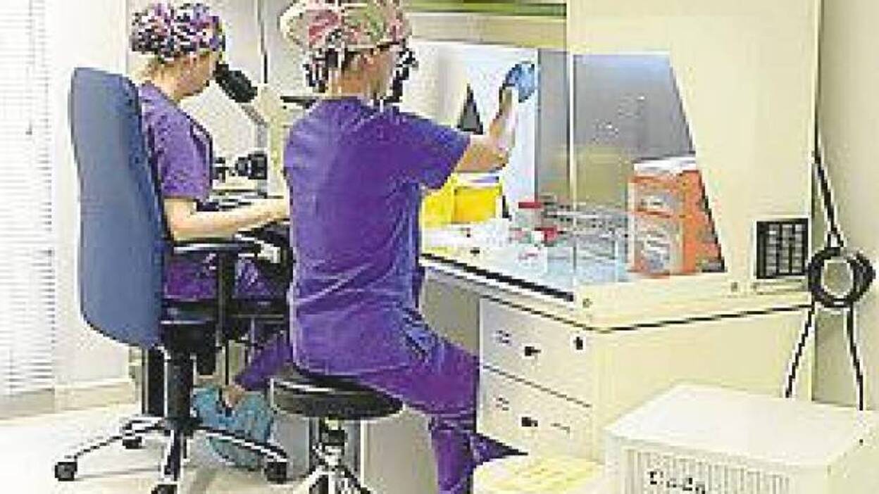 Vitrificación de óvulos. Se utilizan en menos de un 10% de los casos de fecundación in vitro