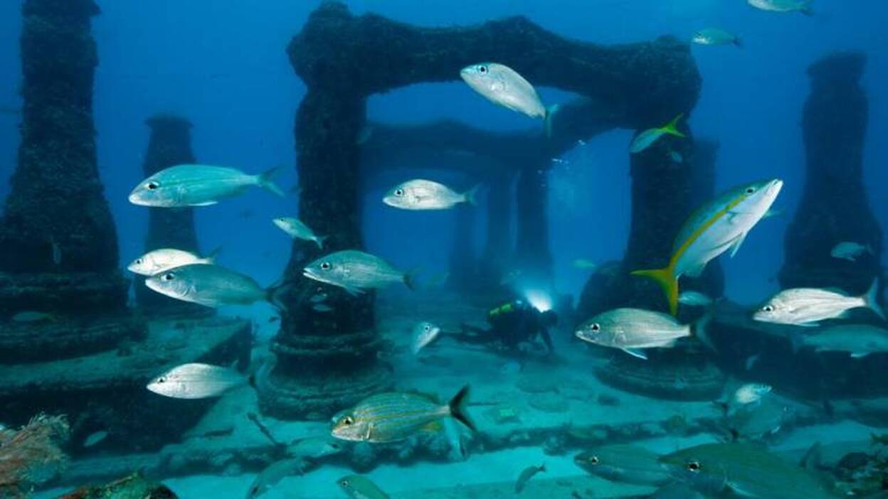 Lo mejor de la programación del día