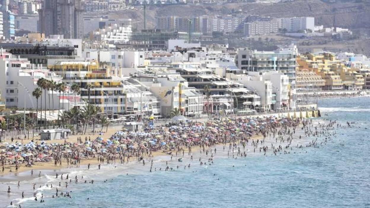 Cómo actuar ante los pequeños «enemigos» del verano