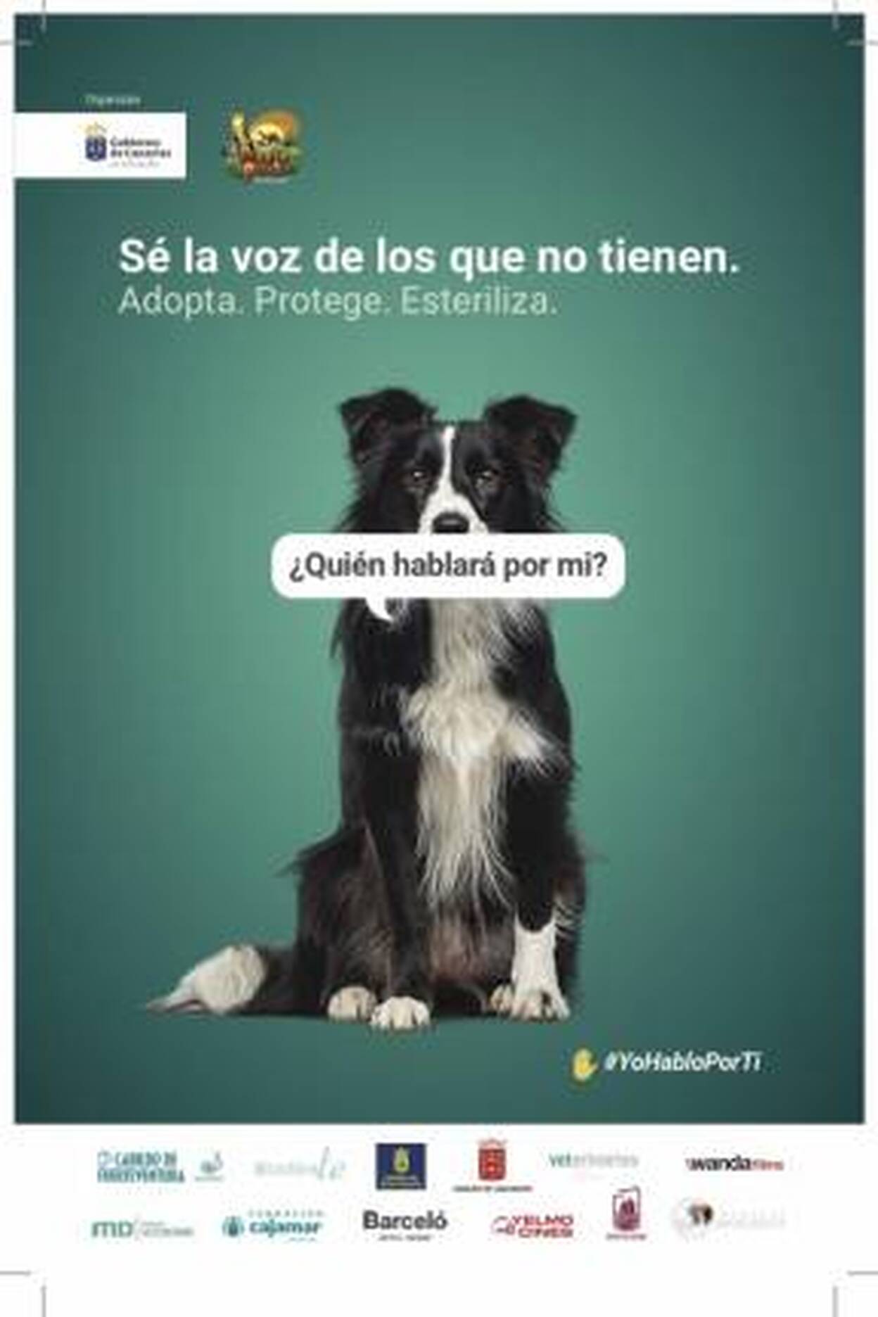 Oasis Park, contra el maltrato animal