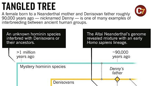 Descubren los restos de un niño con madre neandertal y padre denísova