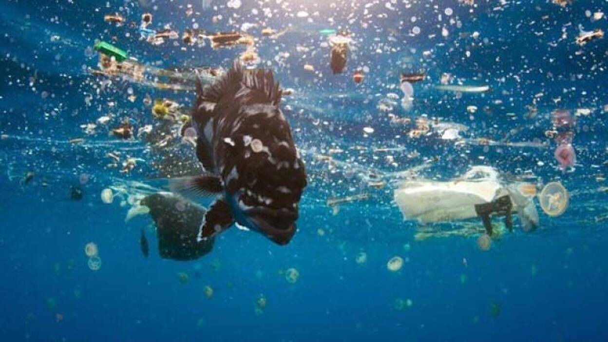 ¿Usamos productos contaminados?